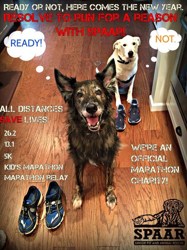 Pittsburgh Marathon Fundraiser - Senior Pet and Animal Rescue