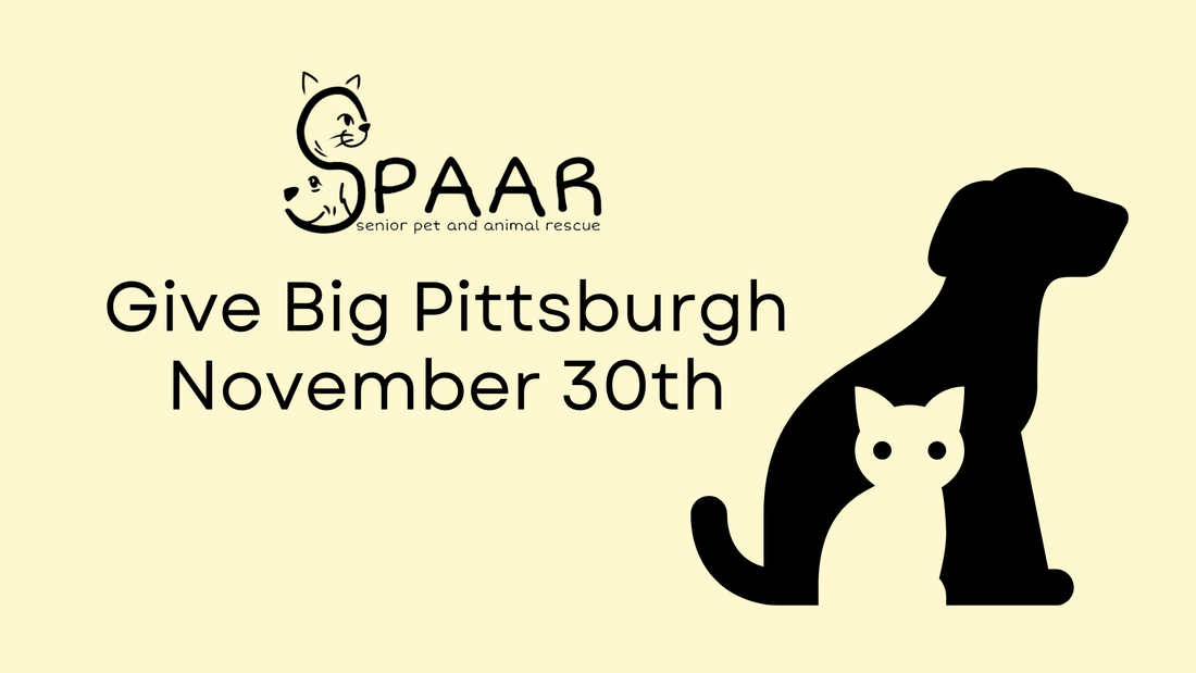 Events - Senior Pet and Animal Rescue